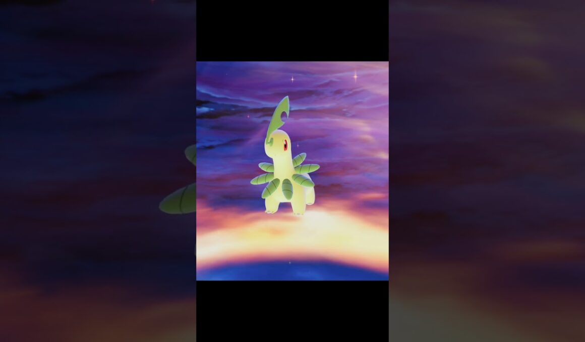 ポケモン進化 チコリータ ベイリーフ メガニウム メガメガニウム　メガシンカ　ポケモンレジェンズZA #shorts #pkmn