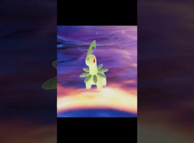 ポケモン進化 チコリータ ベイリーフ メガニウム メガメガニウム　メガシンカ　ポケモンレジェンズZA #shorts #pkmn