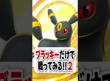 【検証】ブラッキー４体を使って弱点不利から大逆転!?【ポケポケ】