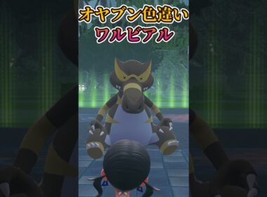 【ポケモンZA】きれいなオヤブン色違いワルビアル＃ポケポケ開封チャレンジ　＃ポケカ　#pokemoncards#pokemontcg#pokemontcgpocket＃shorts＃Vtuber