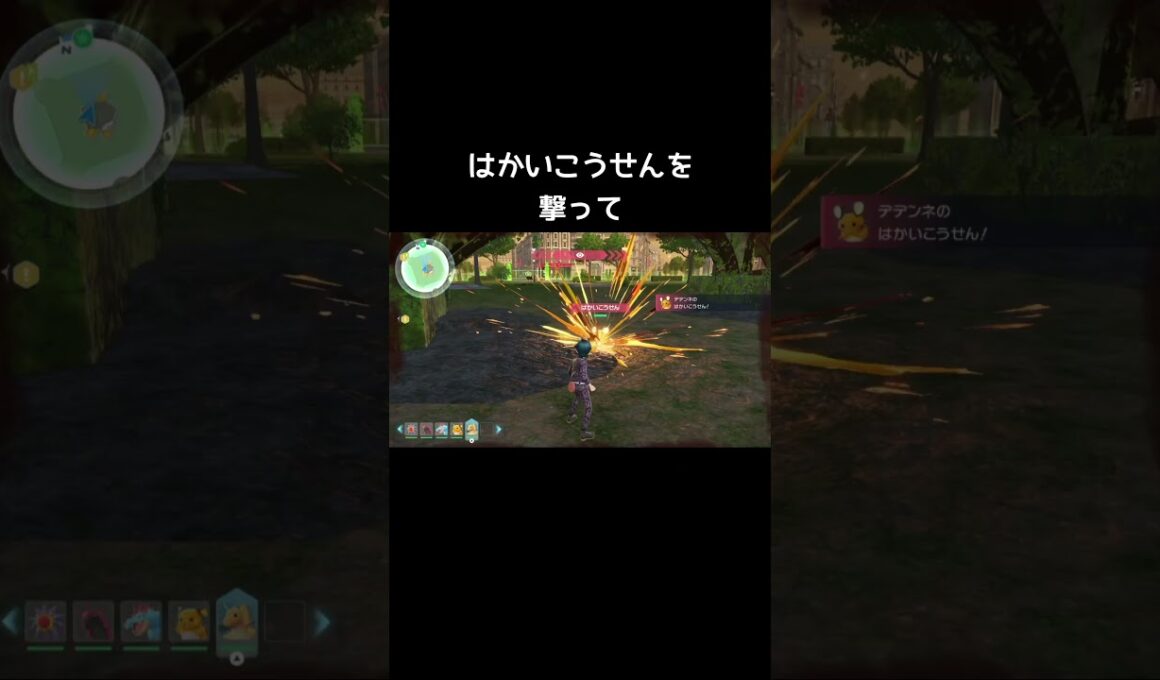 野生のコイキングとデデンネ【ポケモンZA】