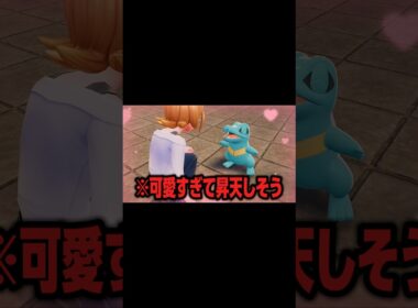 ワニノコがアイドルすぎてヤバいwwww #pokemonlegendsza #ポケモンza #shorts