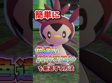【朗報】色違いハリマロンが超簡単に厳選できる！！！ #ポケモンレジェンズza