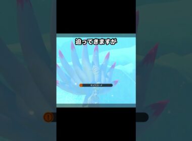 【ブチギレ💢】プレイヤーにキレてくるキュウコン #ポケモン #newポケモンスナップ