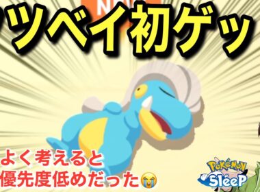 タツベイGET！でもそこにサブレを使ってる場合じゃない説【ポケモンスリープ】無課金リサーチ837/822日目