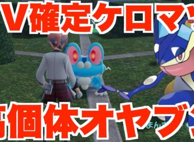 【ポケモンZA】高個体のケロマツとオヤブン「ゲッコウガ」ついにゲット！失敗した時の対処法は？