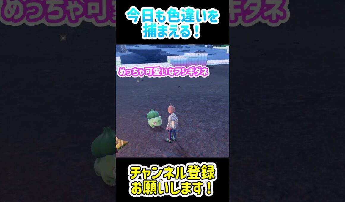 【ポケモンSV】フシギダネの色違いを捕まえる！