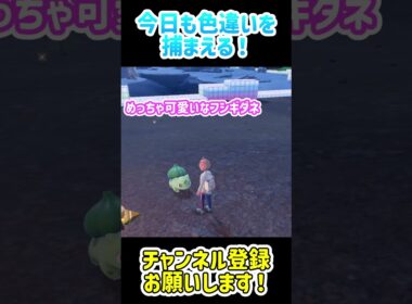 【ポケモンSV】フシギダネの色違いを捕まえる！
