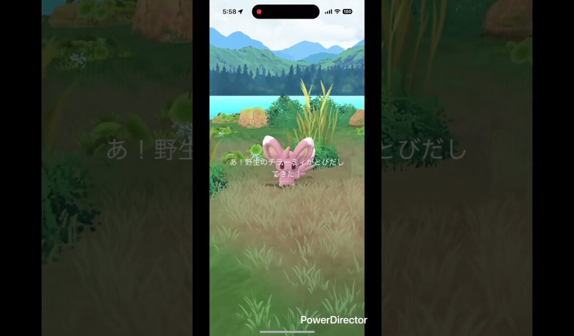 チラーミィ色違い✨ #pokemongo #pokemon #shinypokemon #ポケgo #pokémon #shiny #ポケモン #ポケモンgo