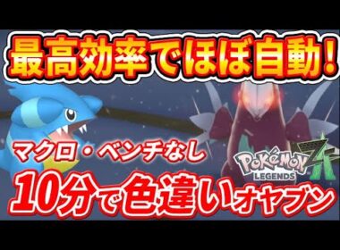 【ポケモンZA】ほぼ自動厳選！色違いフカマルと色違いモグリューを簡単ゲットする方法！【ポケモンレジェンズZA】