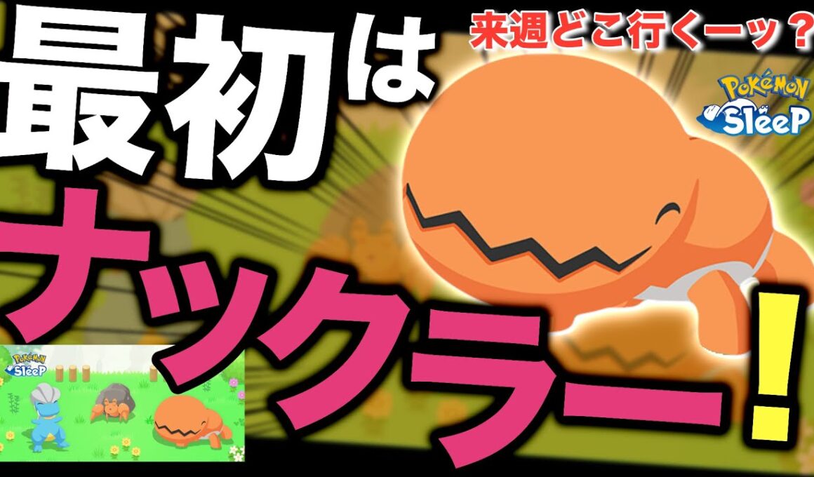来週どこ行く？新ポケ厳選優先度！【ポケモンスリープ】【アンバー渓谷登場キャンペーン】【タツベイ/イシズマイ/ナックラー】