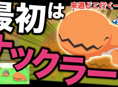 来週どこ行く？新ポケ厳選優先度！【ポケモンスリープ】【アンバー渓谷登場キャンペーン】【タツベイ/イシズマイ/ナックラー】