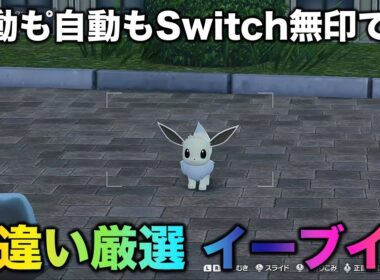 【レア色違い!!】イーブイ編!!【ポケモンZA】