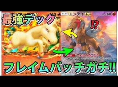 【緊急】フレイムバッチガチ!!"ギャロップex＆エンテイex＆ブビィ"次のランクマで暴れるポケモン!!なみ実況!【カード紹介】
