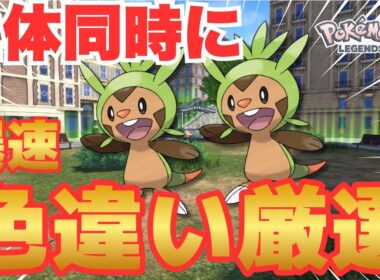 ハリマロン2体同時に爆速色違い厳選する方法【ポケモンZA】