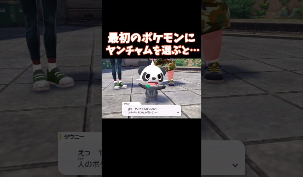最初のポケモンにヤンチャムを選ぶと…【Pokémon LEGENDS Z-A】#ポケモン #ポケモンza #ポケモンレジェンズ #ポケモンレジェンズza  #shorts #short