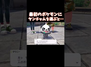 最初のポケモンにヤンチャムを選ぶと…【Pokémon LEGENDS Z-A】#ポケモン #ポケモンza #ポケモンレジェンズ #ポケモンレジェンズza  #shorts #short