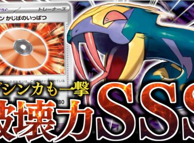 【え？】まさかの４００ダメージ炸裂！？？ワザマシンと『ハブネーク』の相性がやば過ぎた【サメハダー・ヨノワール】