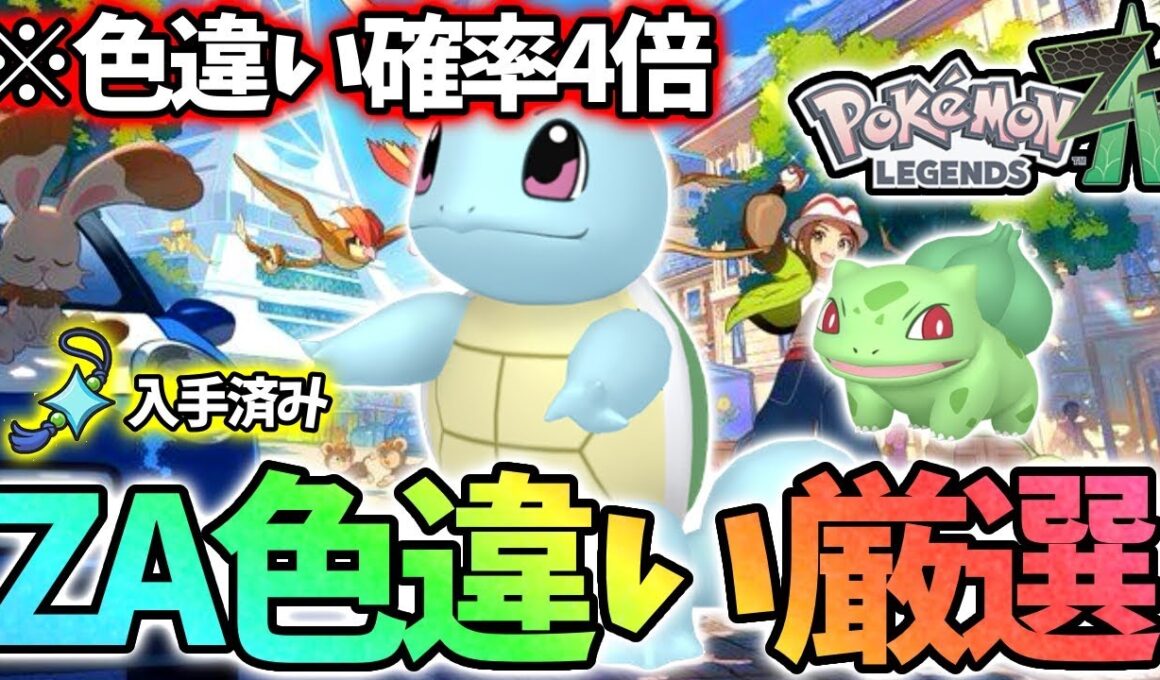 【DAY6】ゼニガメ色違いを信じます【レジェンズza】