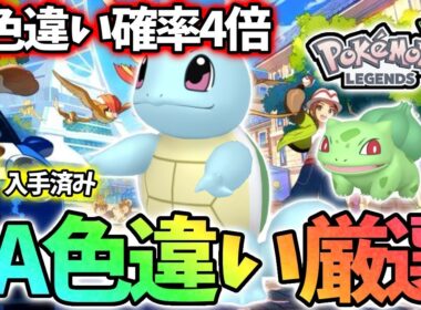 【DAY6】ゼニガメ色違いを信じます【レジェンズza】