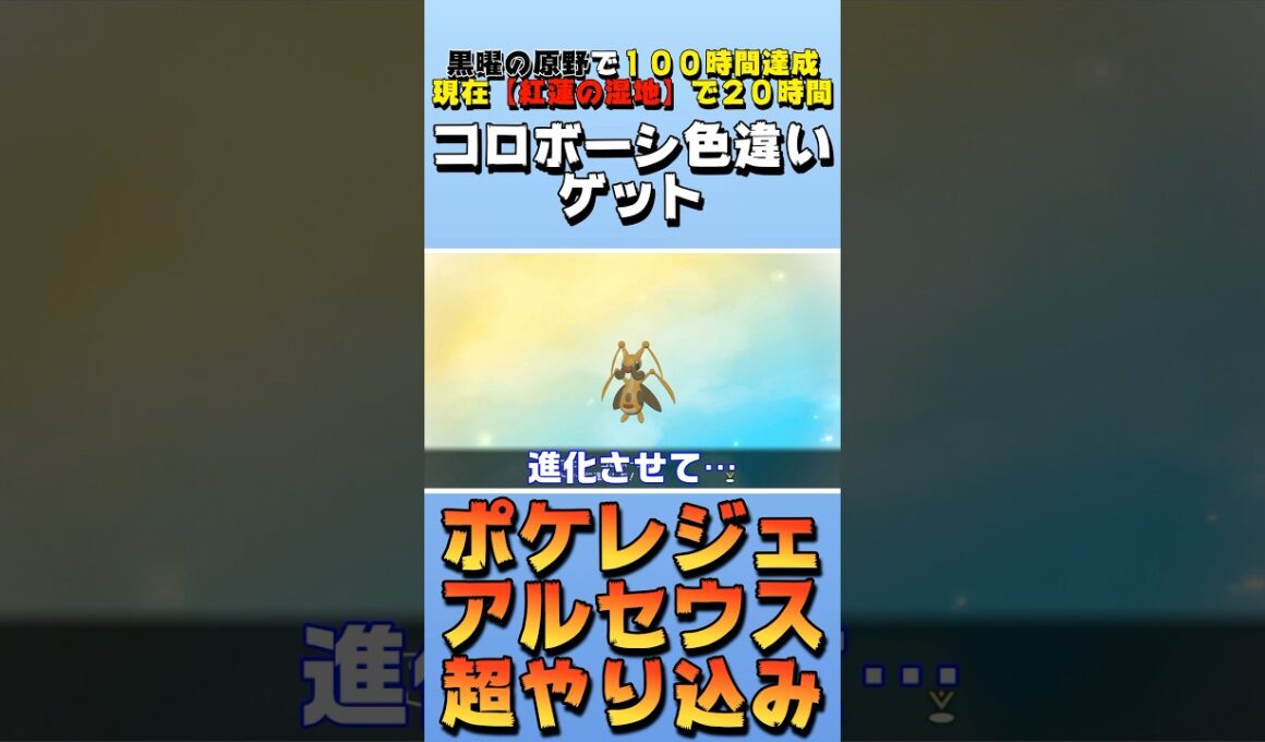 【色違い】コロボーシの色違いをゲットした日【ポケモンレジェンズアルセウス】