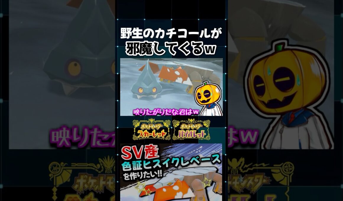 【ポケモンSV】SV産色証ヒスイクレベースに進化させてたら野生のカチコールが妨害してきてブチギレ!?【切り抜き】【色違いポケモン】【色違い厳選】#shorts