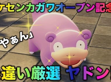 【ポケセンカガワオープン!!】やぁん！色違いヤドン編!!【ポケモンZA】