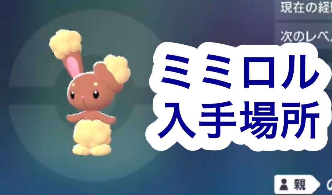 【ポケモンZA】ミミロル入手場所