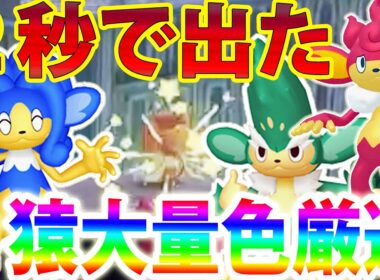 【大量発生】色違いヤナップ＆バオップ＆ヒヤップを超効率で色厳選する方法！【ポケモンレジェンズZA/Pokémon LEGENDS Z-A】
