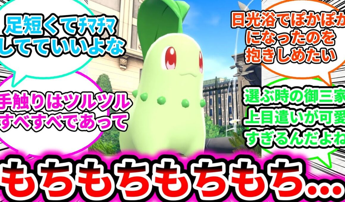 【もっちりチコリータ】ZAのチコリータ、もちもちしすぎについての反応集【ゲームの反応集】【ポケモンZA】【ポケモン反応集】