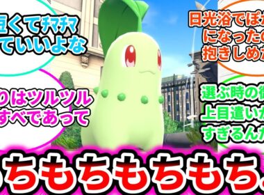 【もっちりチコリータ】ZAのチコリータ、もちもちしすぎについての反応集【ゲームの反応集】【ポケモンZA】【ポケモン反応集】