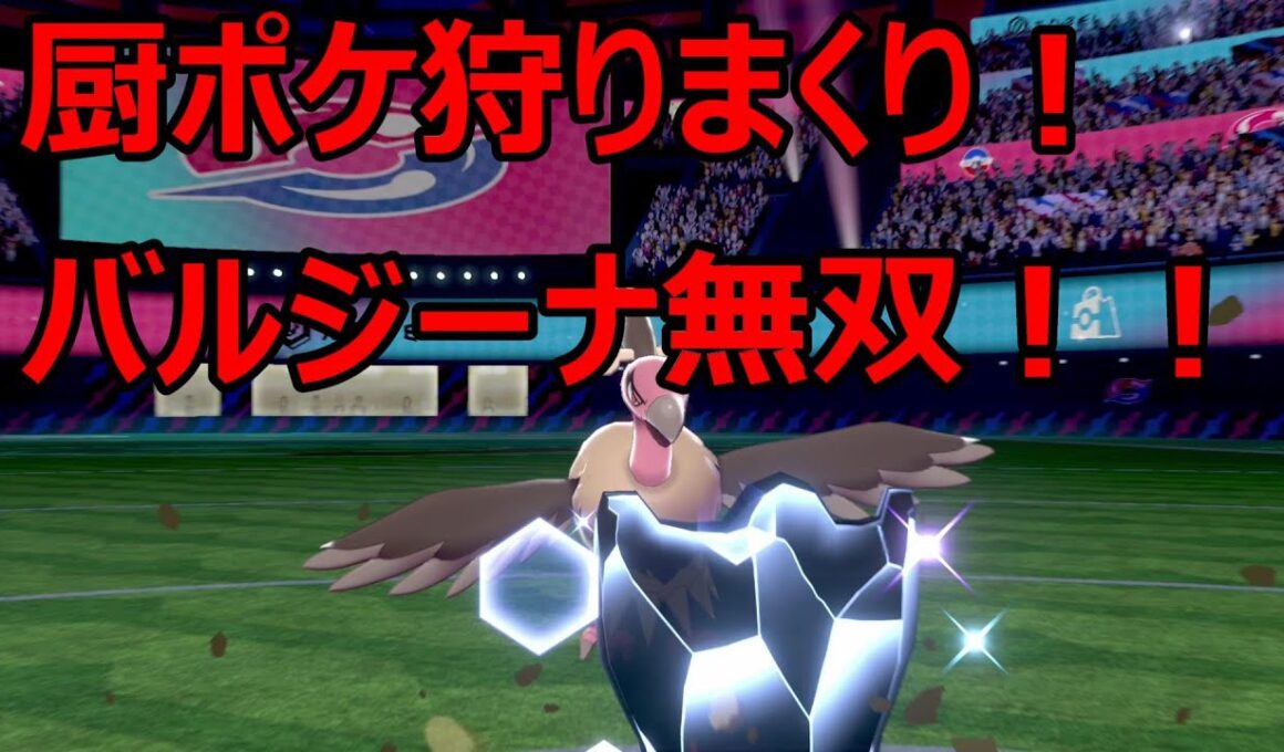 【ポケモン剣盾】サニーゴ･ギャラドス狩りバルジーナ【ポケモンソードシールド】