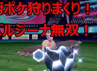 【ポケモン剣盾】サニーゴ･ギャラドス狩りバルジーナ【ポケモンソードシールド】