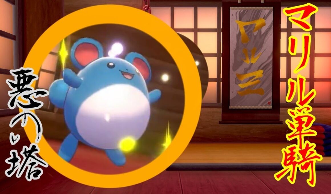 [ポケモン剣盾]あくのとうにマリル一匹で登ってみた