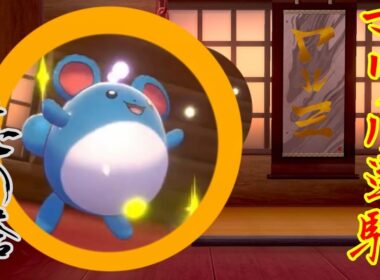 [ポケモン剣盾]あくのとうにマリル一匹で登ってみた