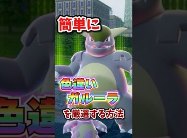 【朗報】色違いガルーラが超簡単に厳選できる！！！ #ポケモンレジェンズza