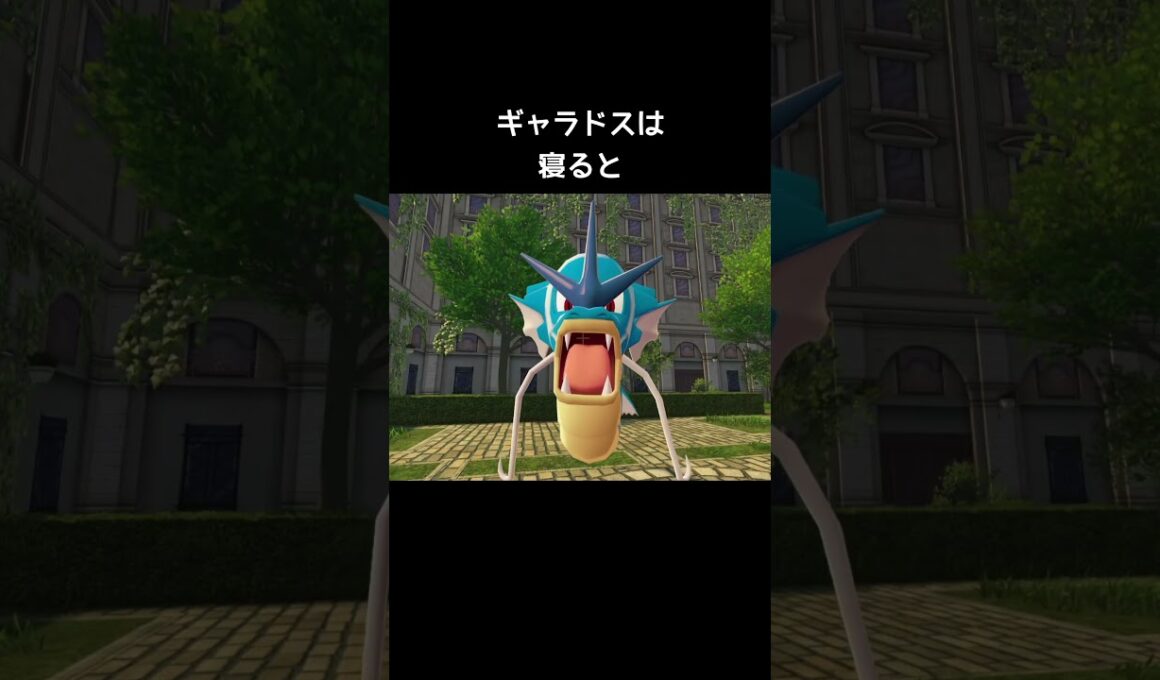 コイキングとギャラドスの寝方の違い【ポケモンZA】