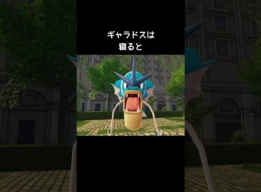 コイキングとギャラドスの寝方の違い【ポケモンZA】