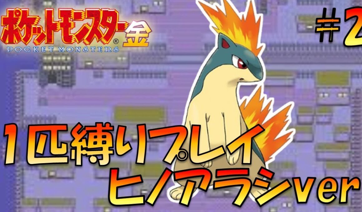 【ポケモン金銀】ポケモン1匹縛りプレイ!!ヒノアラシきみに決めた！part2【ゲーム実況】【縛りプレイ】