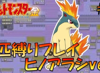 【ポケモン金銀】ポケモン1匹縛りプレイ!!ヒノアラシきみに決めた！part2【ゲーム実況】【縛りプレイ】