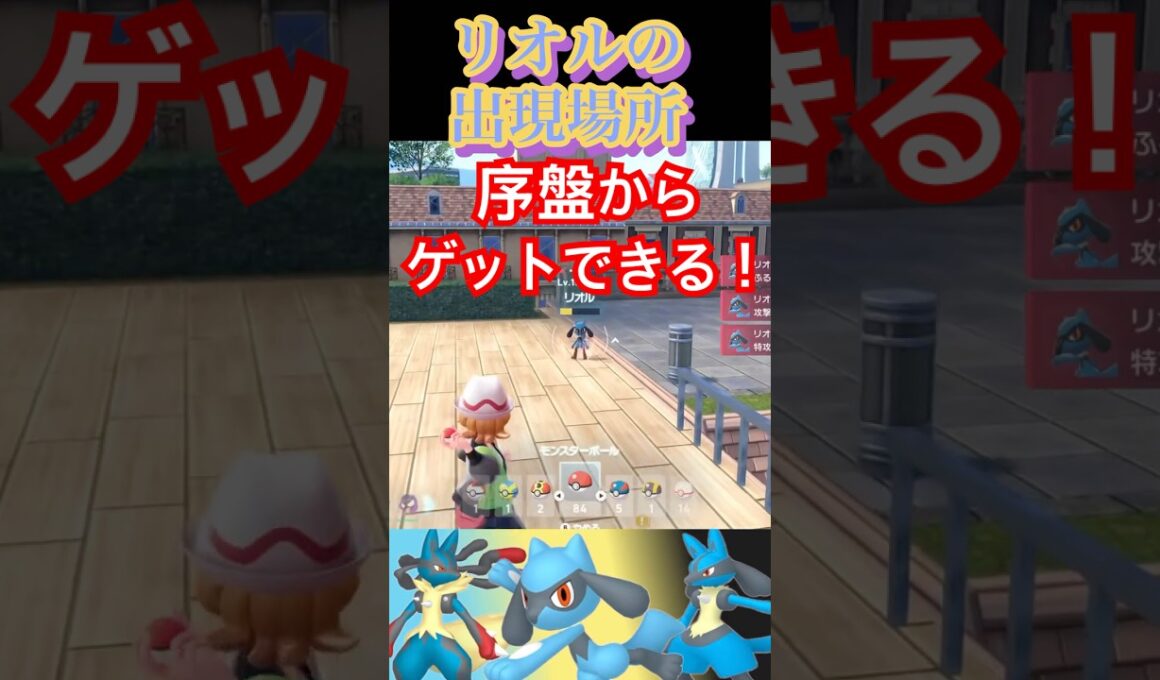 リオルの出現場所解説！【ポケモンZA】