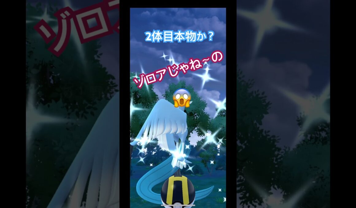 ガラルフリーザー色違い遂に2体目か🤭