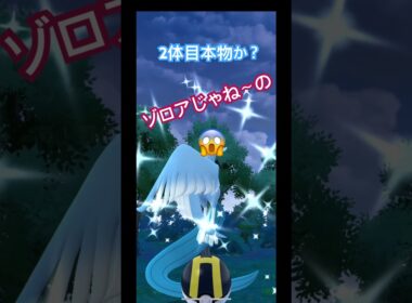 ガラルフリーザー色違い遂に2体目か🤭