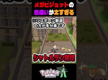 ポケモンza色違い厳選　メガシンカしたピジョットがふとっちょすぎる