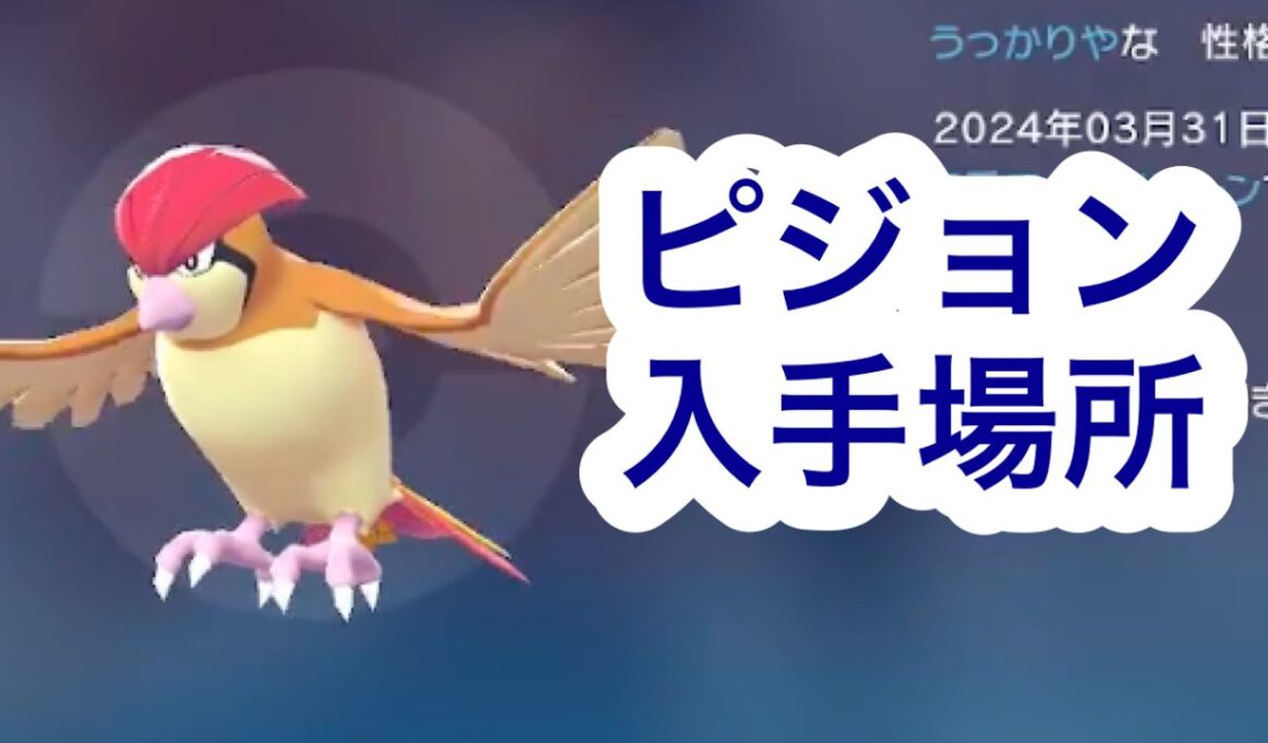 【ポケモンZA】ピジョン入手場所