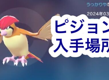 【ポケモンZA】ピジョン入手場所