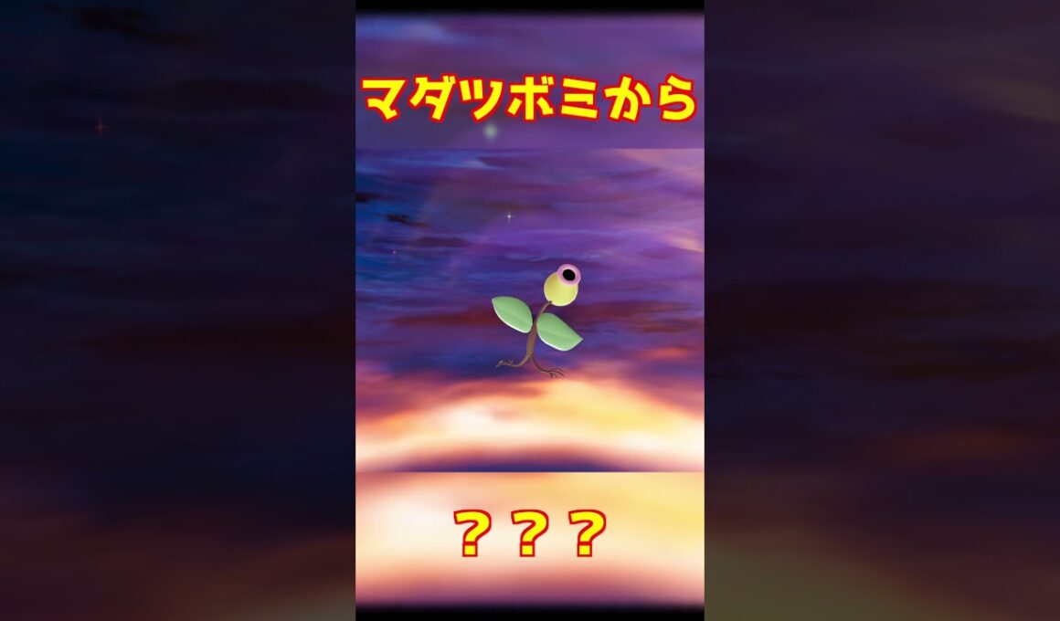 マダツボミ進化 #ポケモンza #shorts