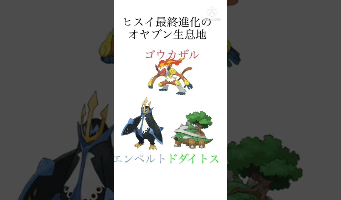 ヒスイオヤブンの生息地！！