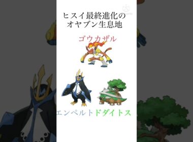 ヒスイオヤブンの生息地！！