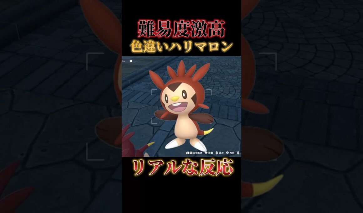 【過去最難関】色違いハリマロンを1番楽な方法で厳選したら超簡単につかまえれた【ポケモンZA】#shorts #ポケモン #つっつー #pokemon